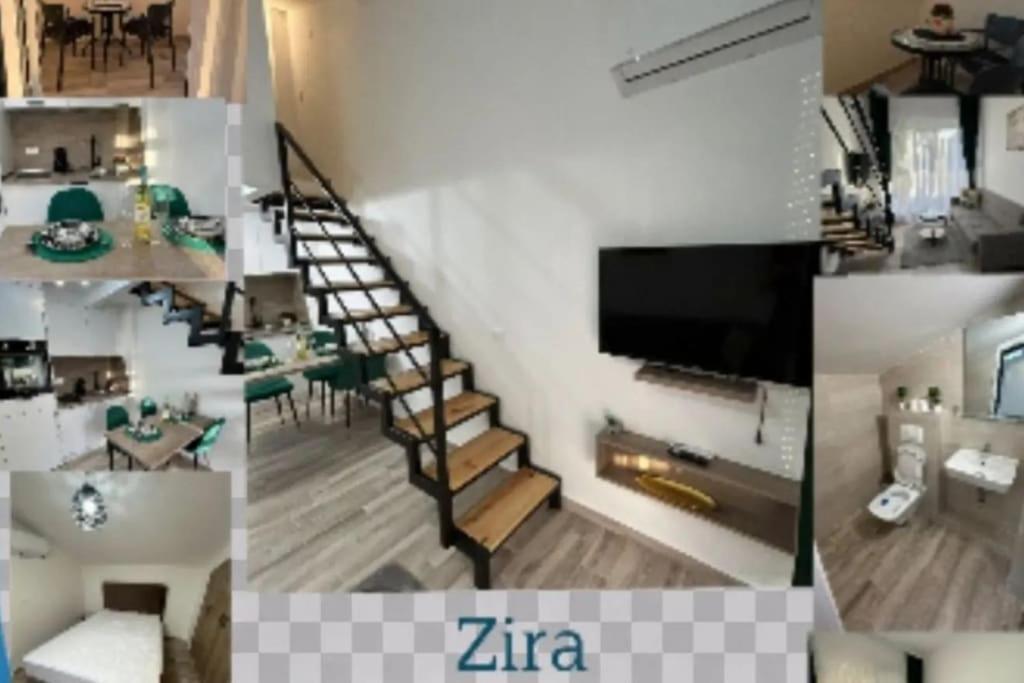 Zira * Kotor